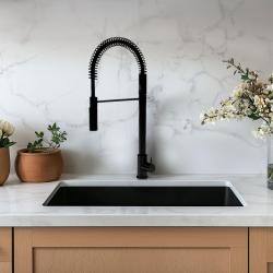 Waterevolution Flow halbprofessionelle Küchenmischarmatur mattschwarz mit Säule und Feder T157PR