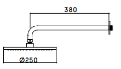 Waterevolution Flow Kopfbrause 250 mm mit Wandanschluss Edelstahl T164125IE