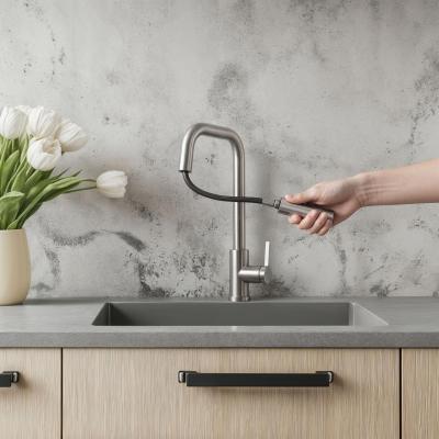 Pure.Sink Elite Steel Crystal-S Küchenarmatur Edelstahl mit ausziehbarem Auslauf PS8050-02