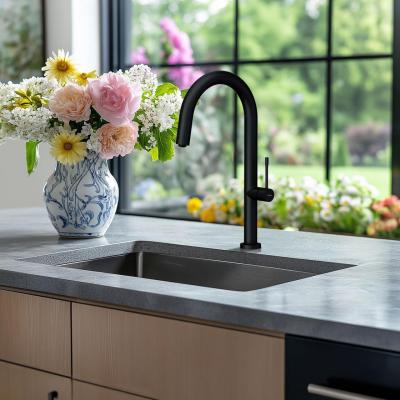 Franke Bolero Plus New R10 B2X 210-50-37 Edelstahl Spülbecken Flachbau, Unterbau und Aufbau 50x37 cm 127.0730.521