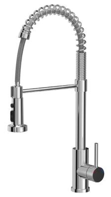 Quadri Redwick Küchenmischbatterie Chrom mit halbflexiblem Auslauf und Dusche mit 2 Strahlarten plus Wasserstopp-Funktion 1208971412